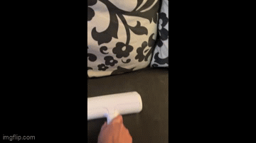 Live Fur-Free and Rediscover Your Comfort!